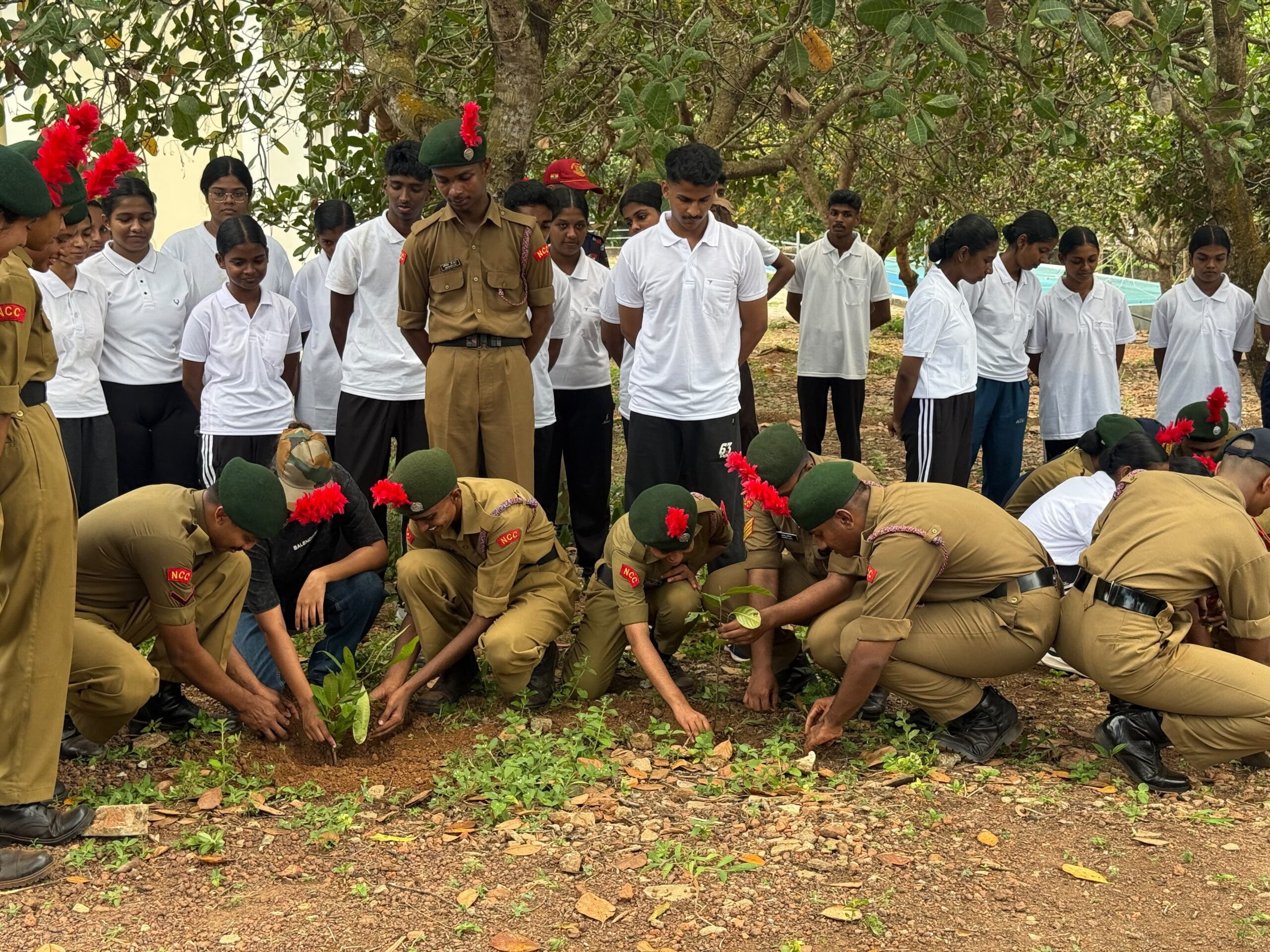 Tree Plantation Programme